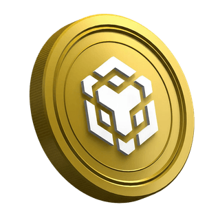 La criptomoneda BNB en la página de la guía del trader principiante